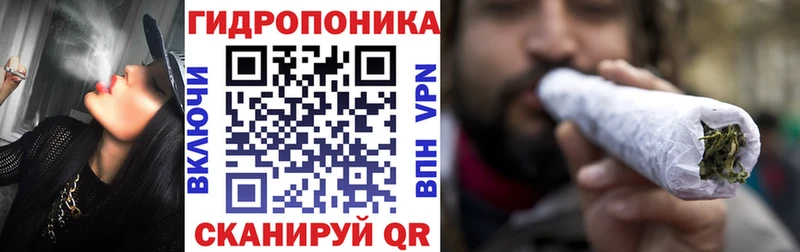 Бошки марихуана OG Kush  как найти   blacksprut рабочий сайт  Владикавказ 
